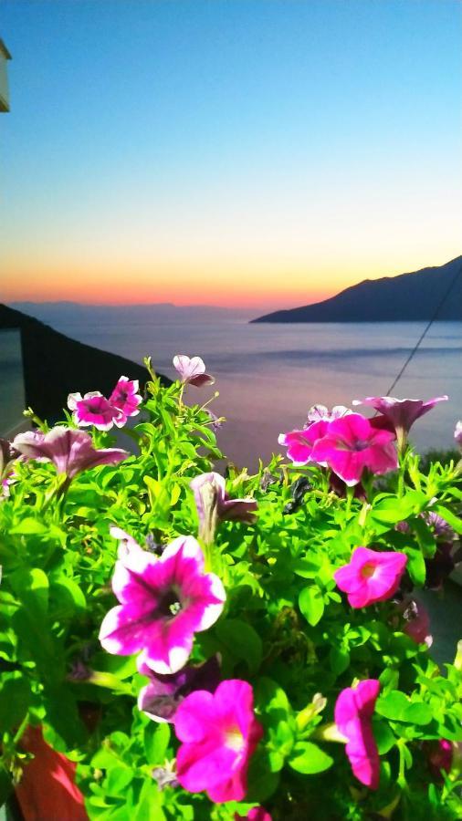 Alkyon Suites Agios Vasilios  Exteriör bild